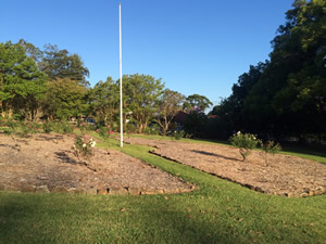 A park with two flower beds sparsely covered with rose bushes; in between is a flag pole