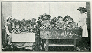 Two girls in early 19the century clothes stand at either end of two tables of fruit and vegetables.