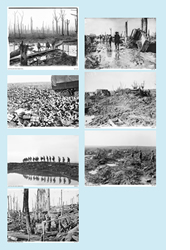 Screenshot of thumbnails for Environmental consequences image gallery