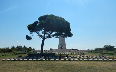 Pine tree stands over grave stones; a monument is in the background