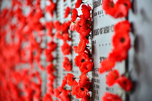 Red poppies on a wall with names listed on it.