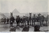 A man attends horses tethered along a long rope. In the background is an Egyptian pyramid.