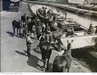 Soldiers hold on to horses beside a canal as one is led onto a barge.