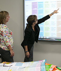 Photograph: teachers discussing the NSW Literacy continuum K-10 interactive version.
