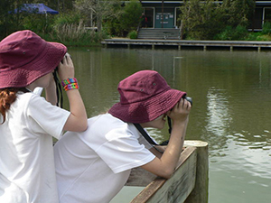 Students using binoculars to view waterbirds